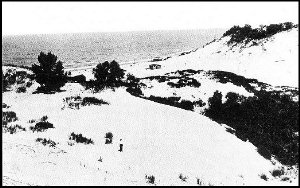[Old Carr's Beach Small Image]
