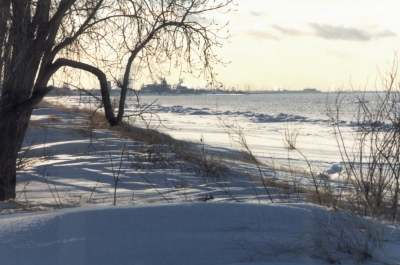 Along the Beach in Winter