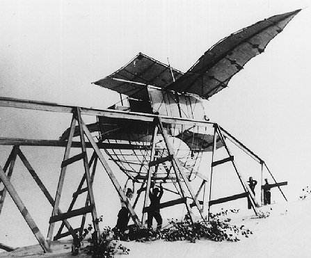 [Albatross image - alba.jpg]